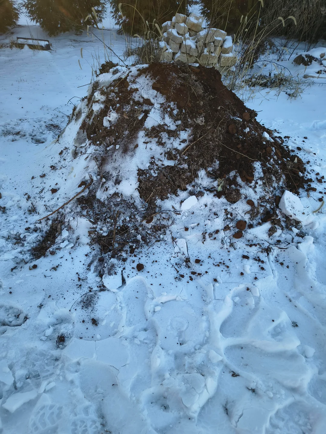 How to Compost in Winter